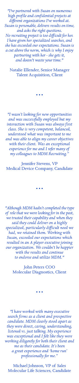 MDM Recruiting - Susan Dahl Executive Search
